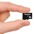Memory Card & Flash Drives