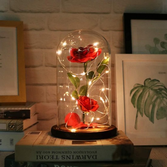 Rose in Glass Dome with LED Lights