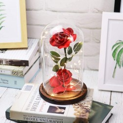 Rose in Glass Dome with LED Lights
