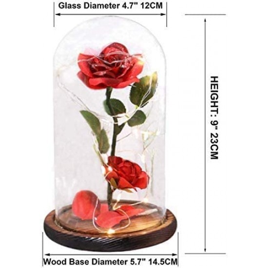 Rose in Glass Dome with LED Lights
