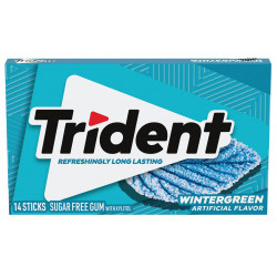 Trident Wintergreen Sugar Free Gum 